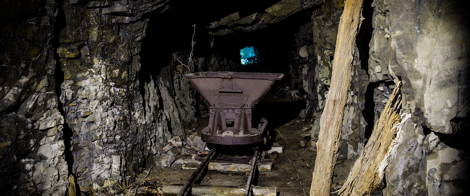 Discover a story you will never forget.