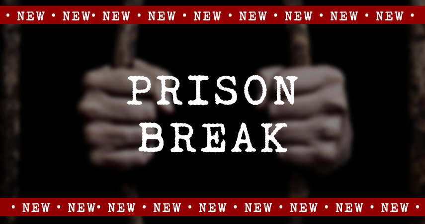 2. Prison Break